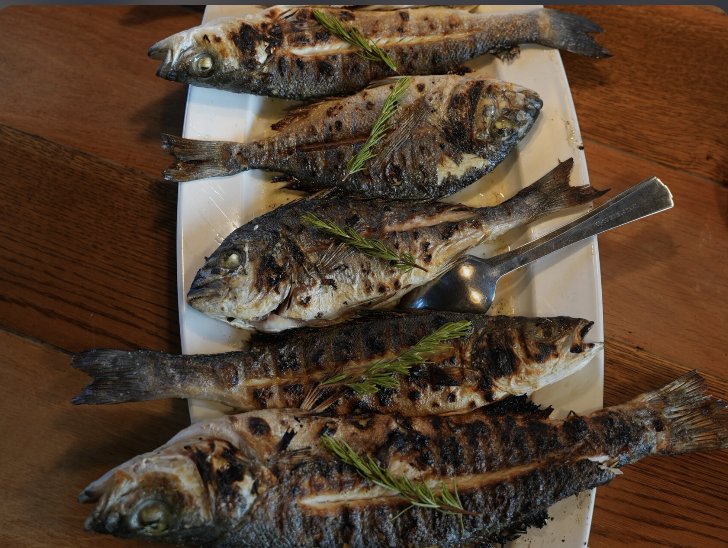 Erleben Sie eine Segelerfahrung an der Côte d’Azur