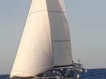 Erleben Sie ein einzigartiges Abenteuer auf See