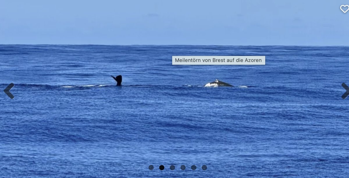 Segeltour von Brest zu den faszinierenden Azoren