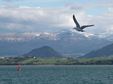 Boat trip around the Bay of Santander