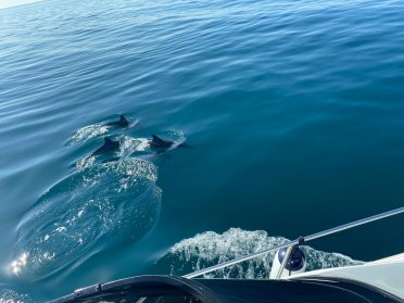 Sailing trip from Fuengirola to Mallorca