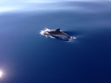 Excursión en velero por la Riviera Francesa durante el fin de semana largo del Primero de Mayo.